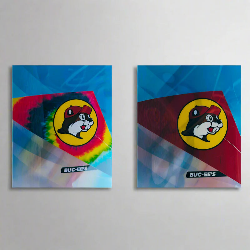 Buc-ee's Authentic Nylon Delta Kite